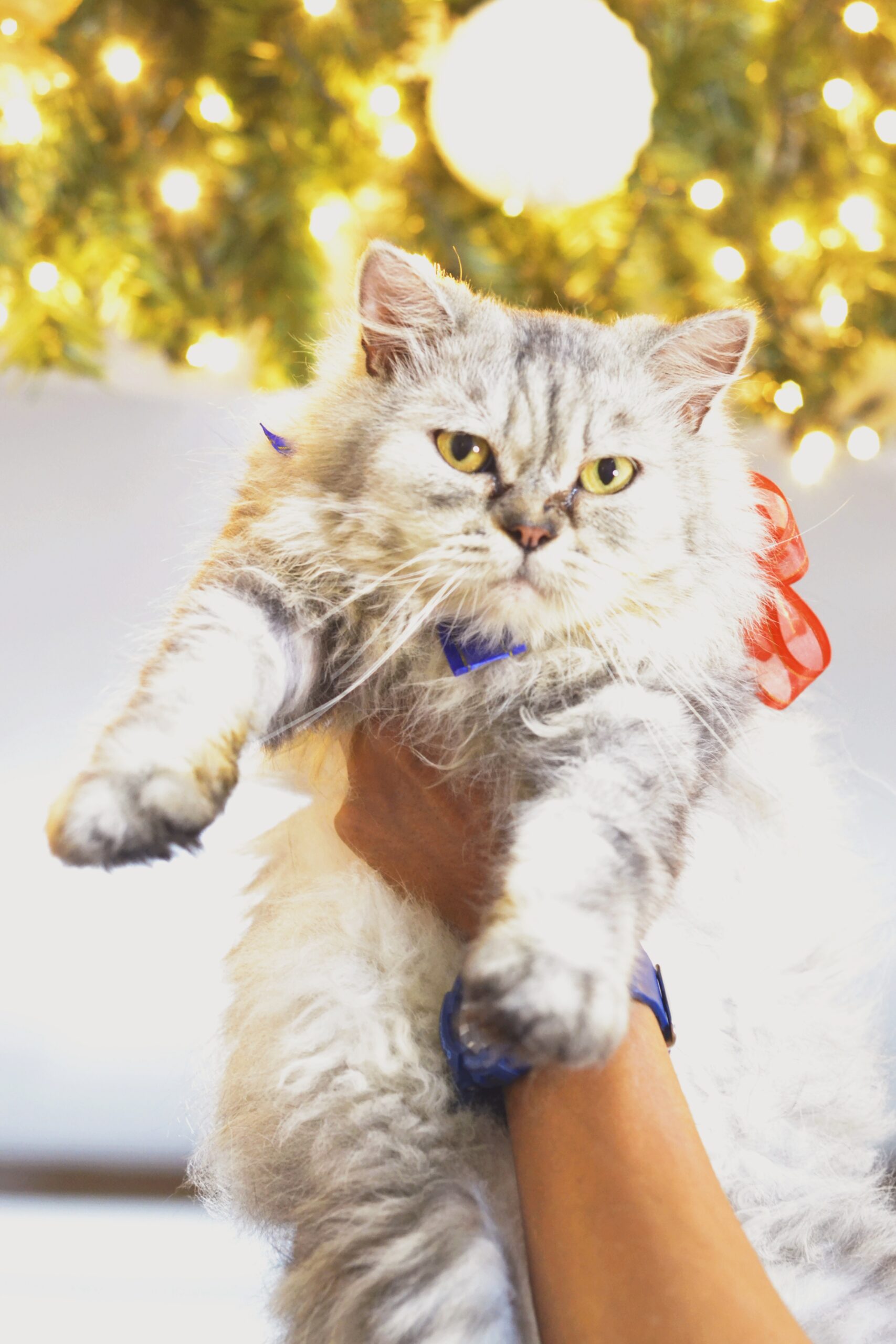 We'd love to hear from YOU!